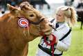 Pig agility shows and a unicorn: Everything you need to know about Kent County Show